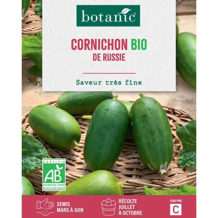 BOTANIC® Graines de cornichon de Russie bio - graines à semer
