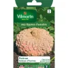 Discount VILMORIN Graines de courge galeuse - graines à semer