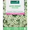 Discount BOTANIC® Graines de fleurs d'Alysse odorant tapis de neige