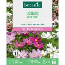 Online BOTANIC® Graines de fleurs de Cosmos vega varié