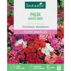 Clearance BOTANIC® Graines de fleurs de Phlox beauté varié