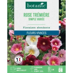 Online BOTANIC® Graines de fleurs de Rose trémière simple variée