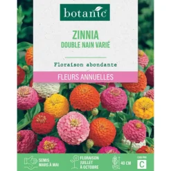 New BOTANIC® Graines de fleurs de Zinnia double nain varié