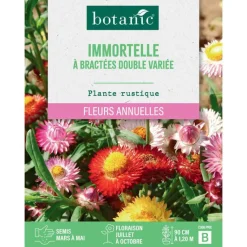 Hot BOTANIC® Graines de fleurs d'Immortelle à bractées double variée