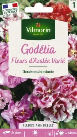 Sale VILMORIN Graines de Godetia Fleurs d’Azalée varié - graines à semer