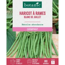 Best BOTANIC® Graines de haricot rames blanc de Juillet à rames - graines à semer