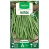 Outlet VILMORIN Graines de Haricot vert grimpant Matilda - graines à semer
