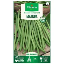 Outlet VILMORIN Graines de Haricot vert grimpant Matilda - graines à semer