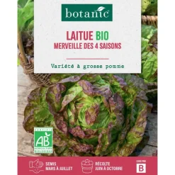 Discount BOTANIC® Graines de laitue merveille à 4 saisons bio - graines à semer