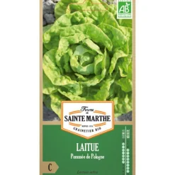 Best FERME DE SAINTE MARTHE Graines de Laitue pommée de Pologne bio - graines à semer