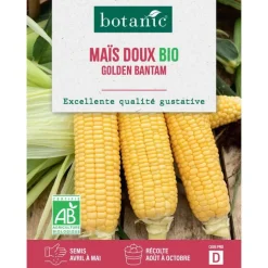 Clearance BOTANIC® Graines de maïs doux golden bantam bio - graines à semer