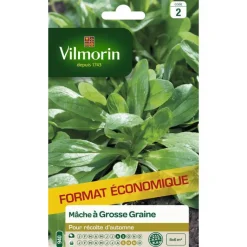 Outlet VILMORIN Graines de mâche à grosse graine - graines à semer