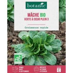 BOTANIC® Graines de mâche verte à cœur plein bio - graines à semer