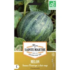 FERME DE SAINTE MARTHE Graines de Melon Ananas d’Amérique à chair rouge bio - graines à semer