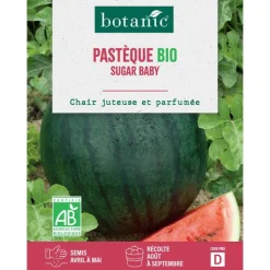 New BOTANIC® Graines de melon d'eau pastèque sugar baby bio - graines à semer
