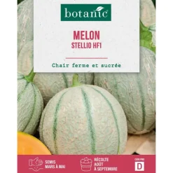 Online BOTANIC® Graines de melon stellio HF1 - graines à semer