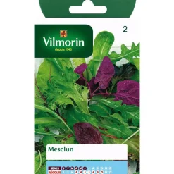 Best VILMORIN Graines de mesclun - graines à semer