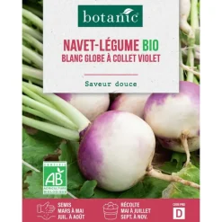 Clearance BOTANIC® Graines de navet blanc globe à collet violet bio - graines à semer