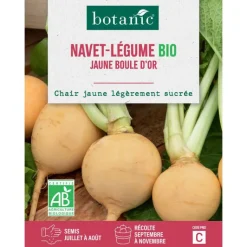 Online BOTANIC® Graines de navet jaune boule d'or bio - graines à semer