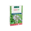 Best BOTANIC® Graines de Phacélie bio - graines à semer (250 m²)