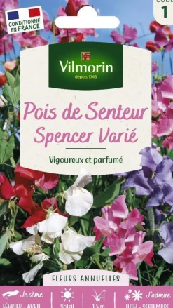 New VILMORIN Graines de Pois de senteur Spencer varié - graines à semer