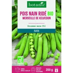 Online BOTANIC® Graines de pois nain ridé merveille de kelvedon bio - graines à semer en étui