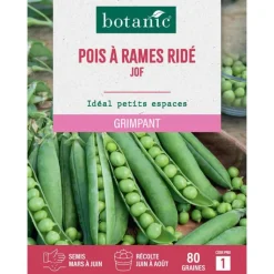 Best BOTANIC® Graines de pois ridé à rames jof - 80 graines à semer