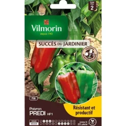 Clearance VILMORIN Graines de poivron predi HF1 - graines à semer
