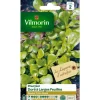 Online VILMORIN Graines de pourpier doré à larges feuilles - graines à semer