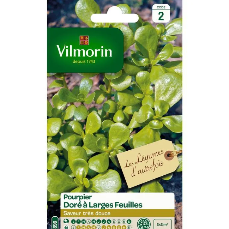 Online VILMORIN Graines de pourpier doré à larges feuilles - graines à semer