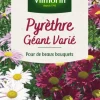 Hot VILMORIN Graines de Pyrèthre géant varié - graines à semer