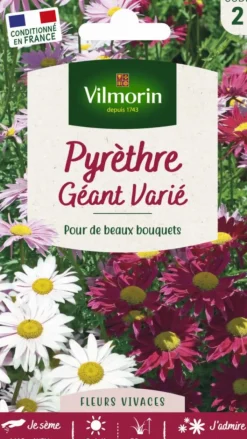 Hot VILMORIN Graines de Pyrèthre géant varié - graines à semer