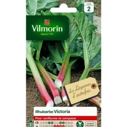 Best VILMORIN Graines de rhubarbe Victoria - graines à semer