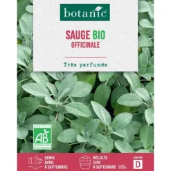 Discount BOTANIC® Graines de sauge officinale bio - graines à semer