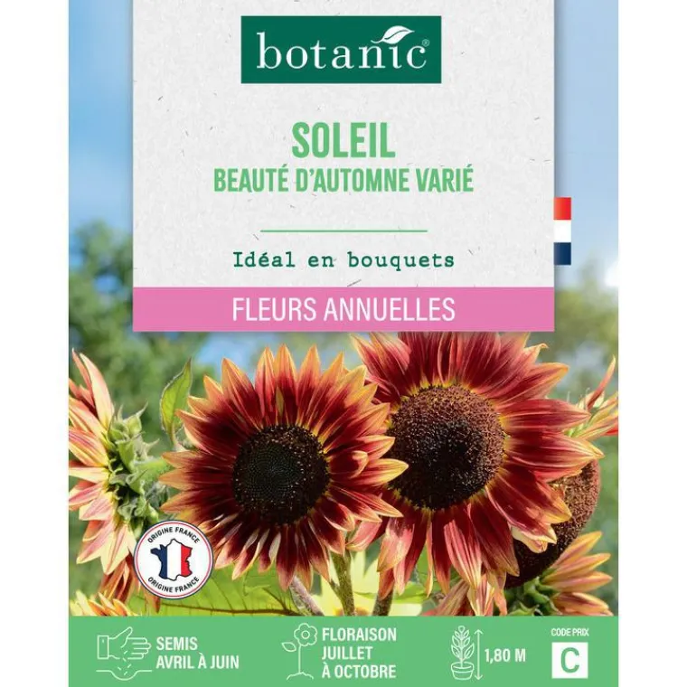 Sale BOTANIC® Graines de soleil beauté d'automne varié - graines à semer