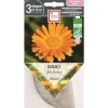 Discount ERNEST TURC Graines de Souci des jardins bio - graines à semer