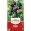 Discount FERME DE SAINTE MARTHE Graines de Tomate Brown Berry bio - graines à semer
