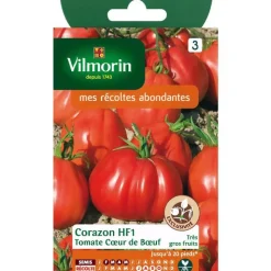 Online VILMORIN Graines de tomate cœur de bœuf - graines à semer