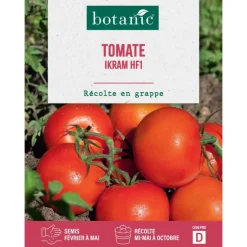 Clearance BOTANIC® Graines de tomate ikram F1 - graines à semer