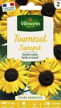 Sale VILMORIN Graines de Tournesol Sunspot - graines à semer