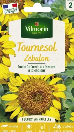 Best VILMORIN Graines de Tournesol Zebulon - graines à semer