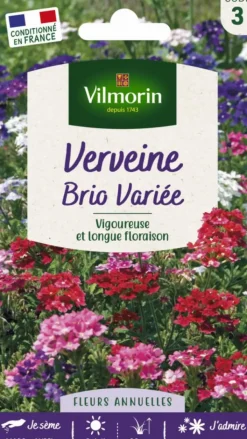 Outlet VILMORIN Graines de Verveine Brio variée - graines à semer