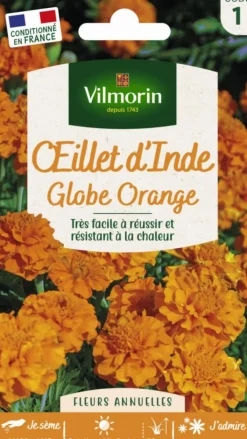 Hot VILMORIN Graines d’Œillet d’Inde Globe orange - graines à semer