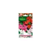 Clearance VILMORIN Graines d’Impatiens Hybride variée - graines à semer