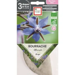 Outlet ERNEST TURC Graines présemées de Bourrache officinale bio - 3 ronds de 10 cm