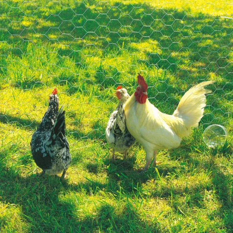 New NORTENE Grillage Galvanex maille hexagonale 1,9 cm Métal galvanisé Gris L5 m x H100 cm