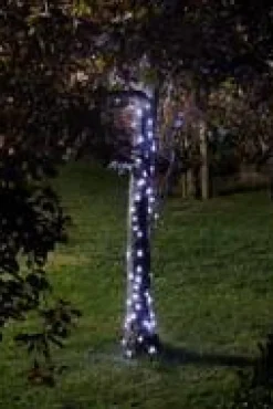 Sale SMART GARDEN Guirlande Luciole 100 LED coloris transparent effet blanc chaud froid en plastique Smartgarden