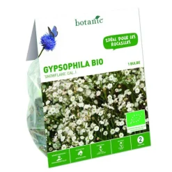 New BOTANIC® Gypsophile Paniculata Snowflake bio blanc - 1 bulbe