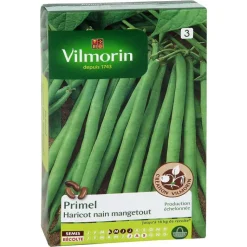 Clearance VILMORIN Haricot Nain Mangetout Primel - graines à semer