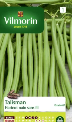 VILMORIN Haricot nain sans fil Talisman - graines à semer